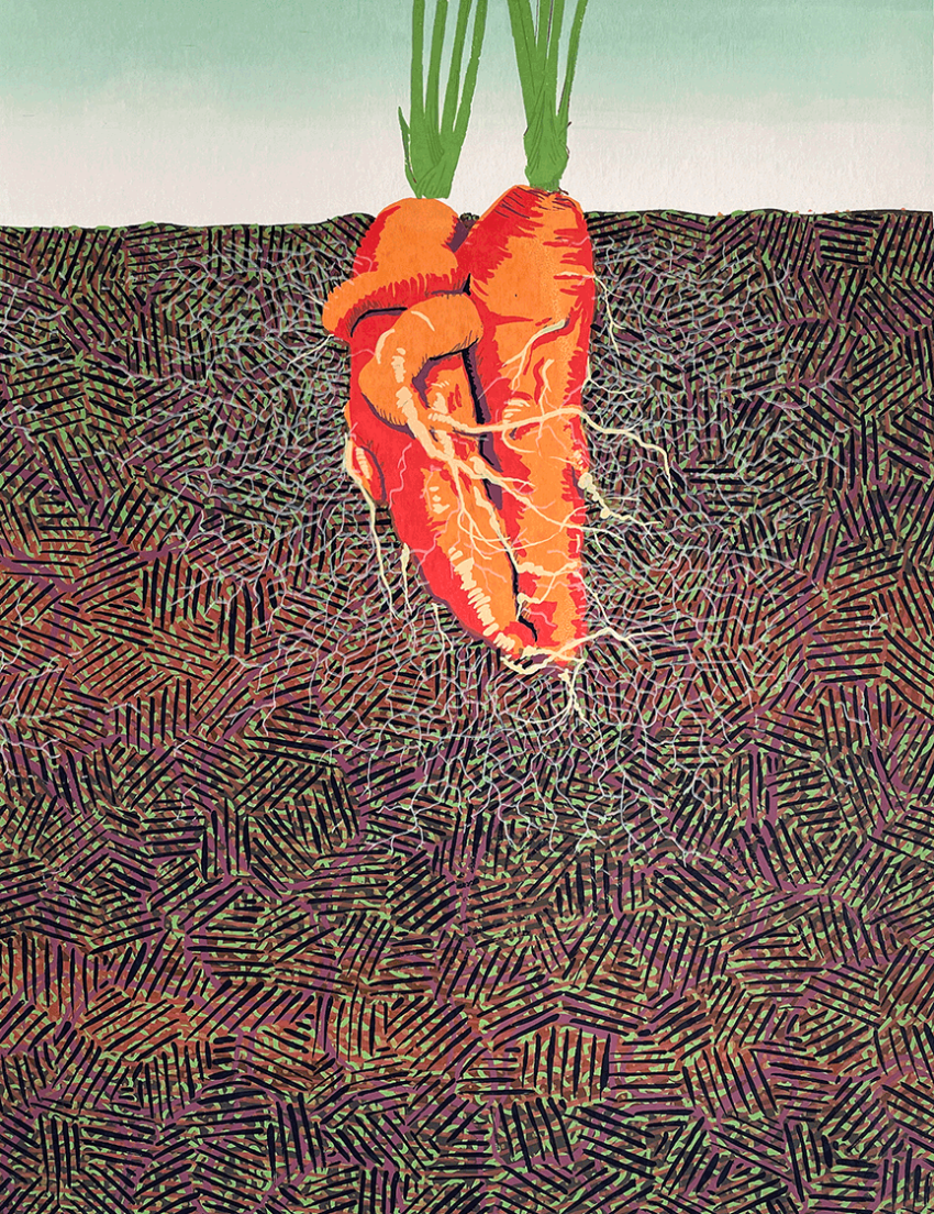 A screenprint of two carrots underground and with their roots intertwined. The soil around them is made up of overlapping colored marks. There's a web of thin white mycelium coming off the carrots into the surrounding soil.